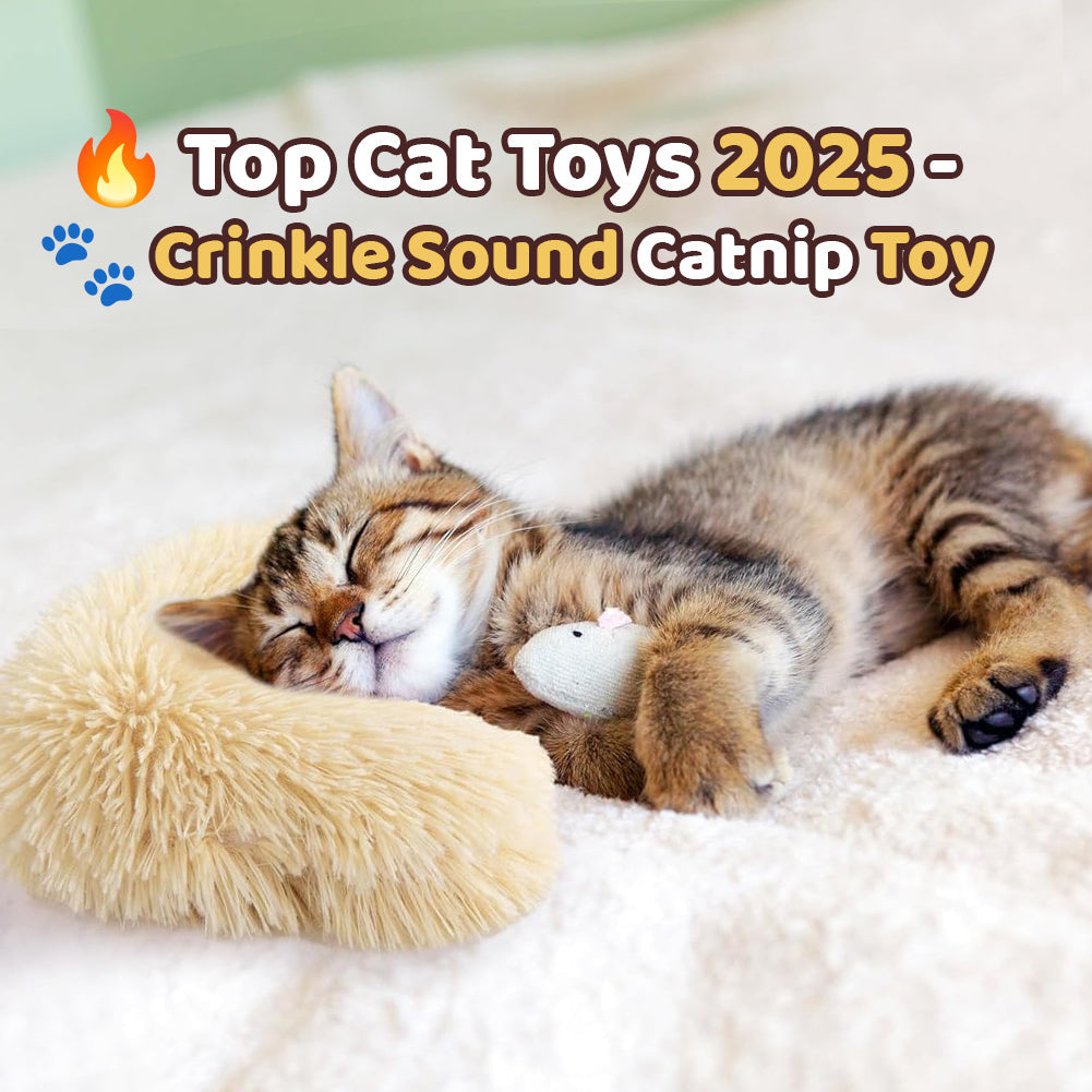PurrLure – Keeps Cats Active, Happy, and Healthy All Day Long