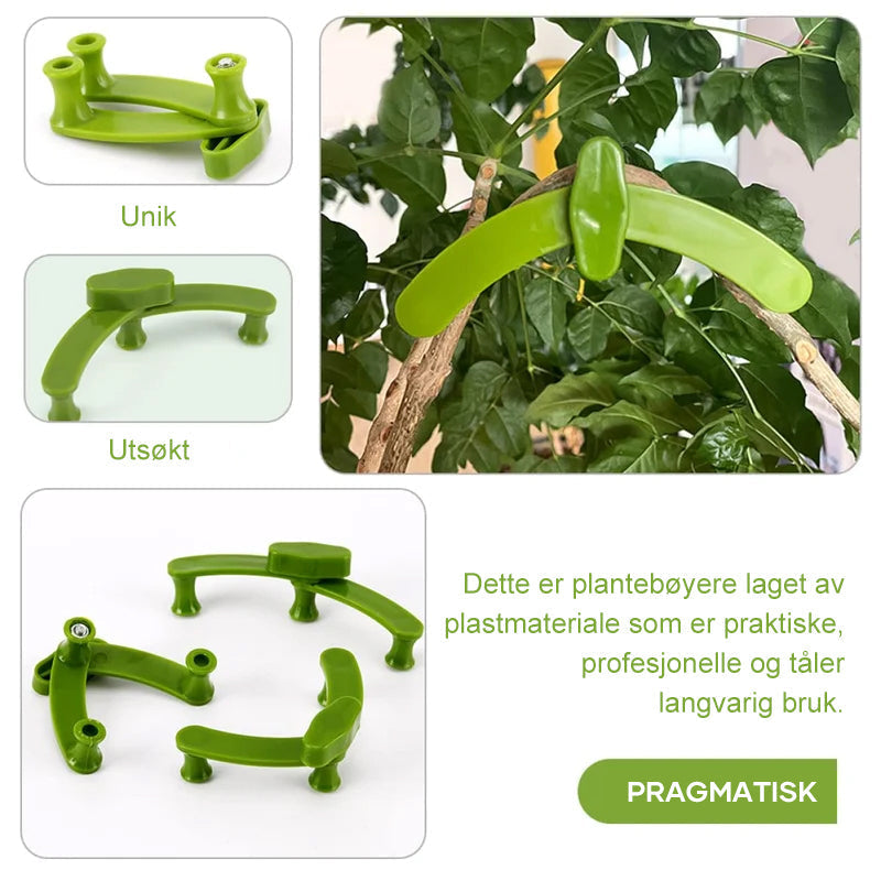2+3 FREE | PlantHeld - Keep plants strong, upright, and healthy daily