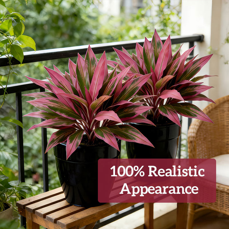 GreenViva – Lifelike plants that stay fresh without maintenance