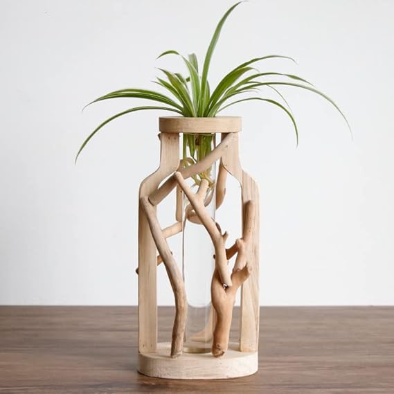 EcoVibe – Instantly Transform Any Room with Natural Elegance