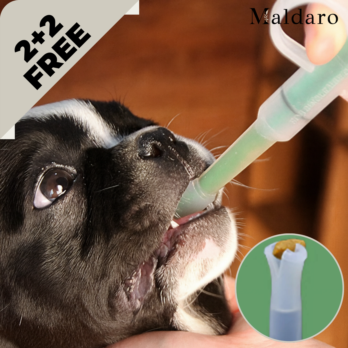 2+2 FREE | PetPal Pro – Stress-Free, Fast Medication and Tablet Dispenser for Pets