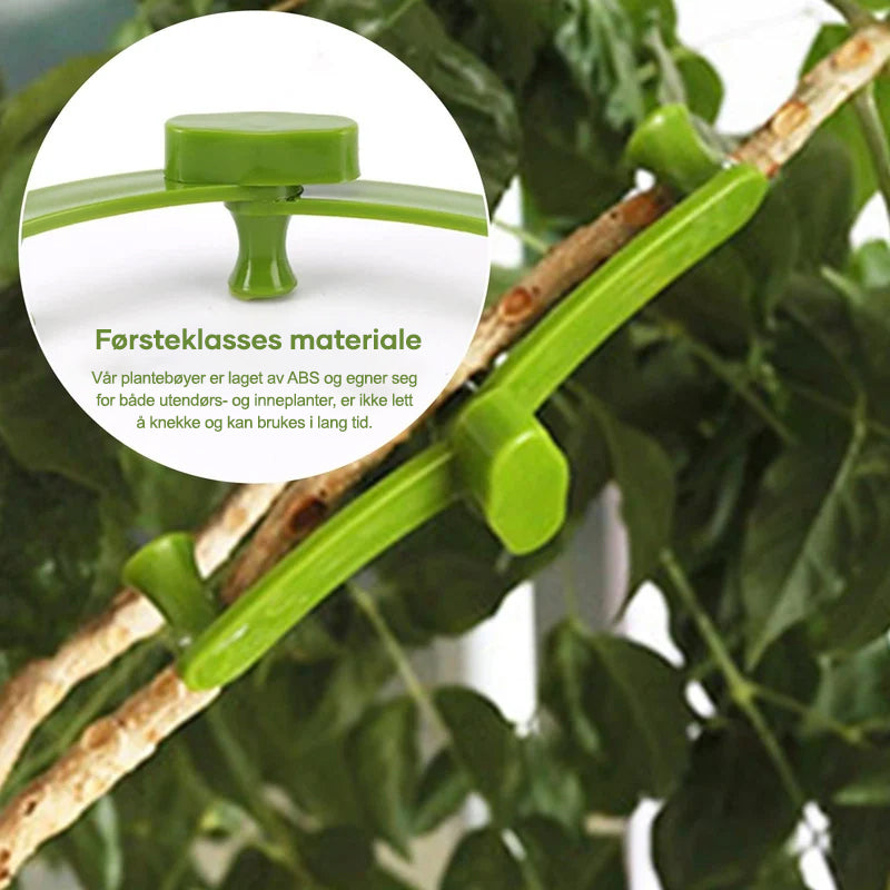 2+3 FREE | PlantHeld - Keep plants strong, upright, and healthy daily