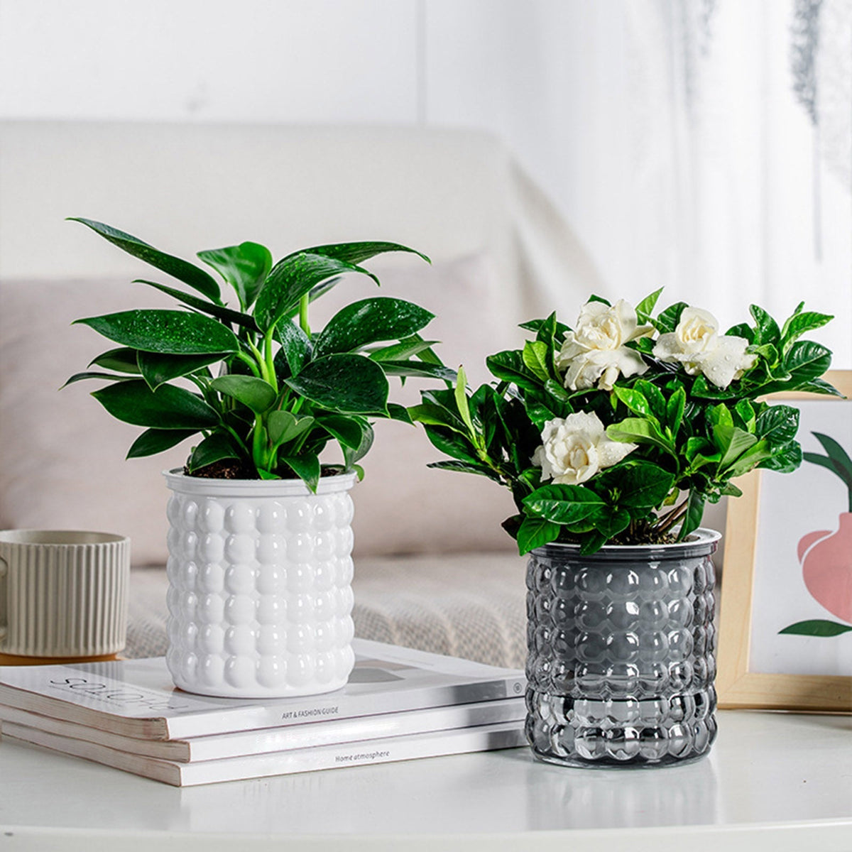 SucculentPlanter - Keep Your Succulents Juicy Without Watering Effort