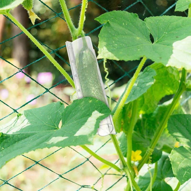 1+1 FREE | CucumberGlow – Grow Fun-Shaped Vegetables That Impress Everyone Instantly
