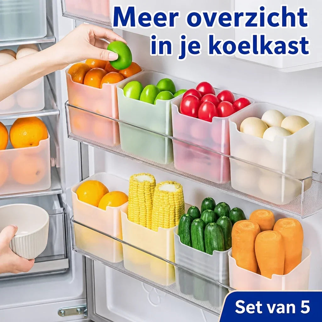 2+3 FREE | FridgePeek – Instantly Maximize Refrigerator Space