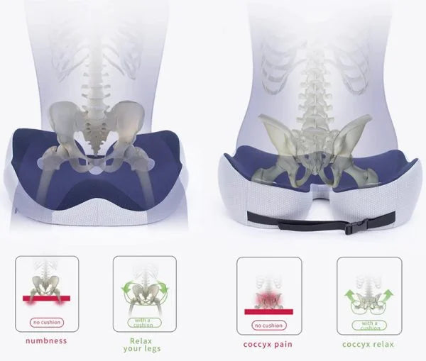 AlignSeat – All-day comfort and pain-free sitting anywhere