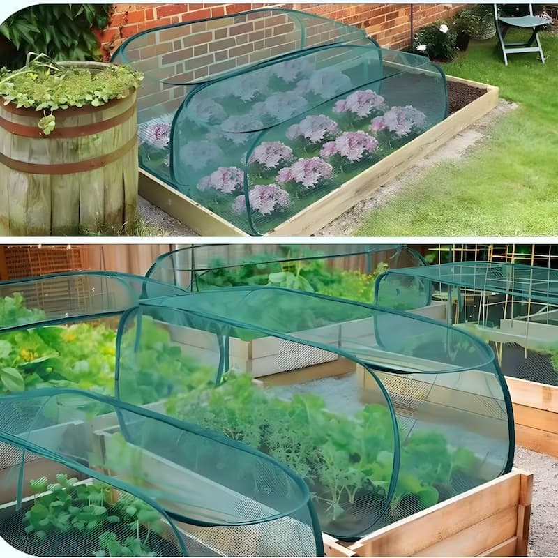 GardenShield – Protect plants immediately from pests for strong growth