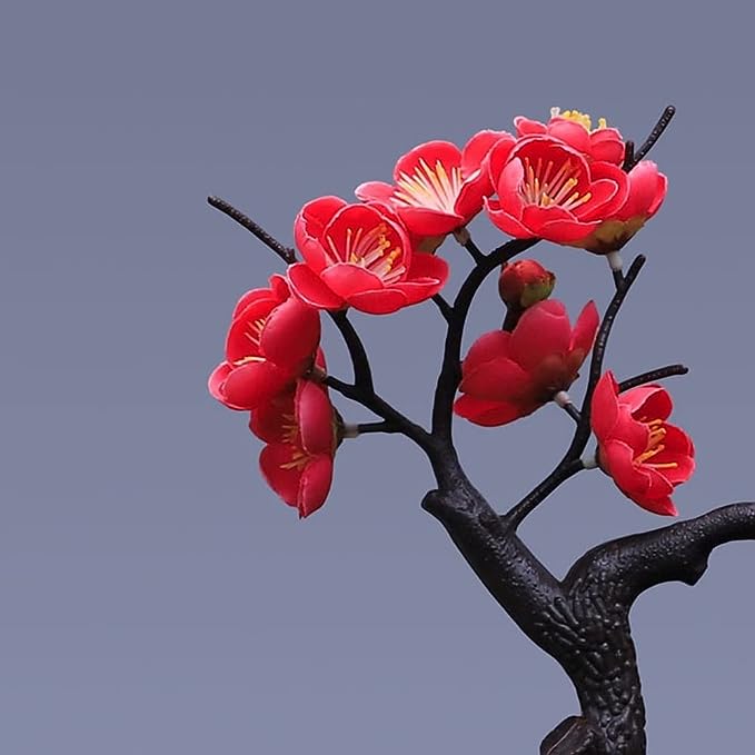 ZenBonsai – Bring Harmony, Style, and Nature into Your Home