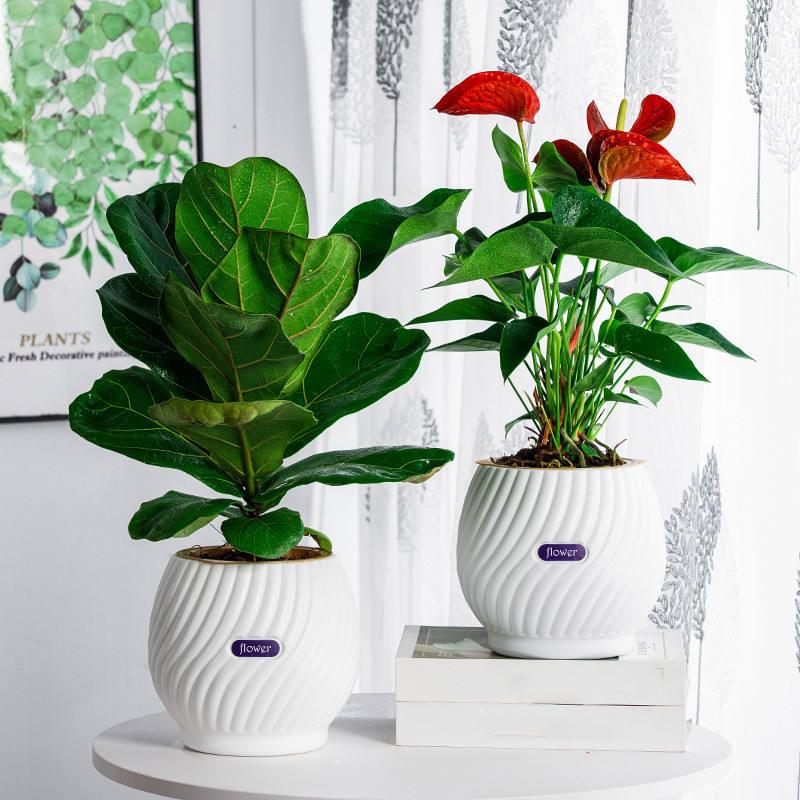 GreenPlanter – Keep Your Plants Perfectly Moisturized Effortlessly