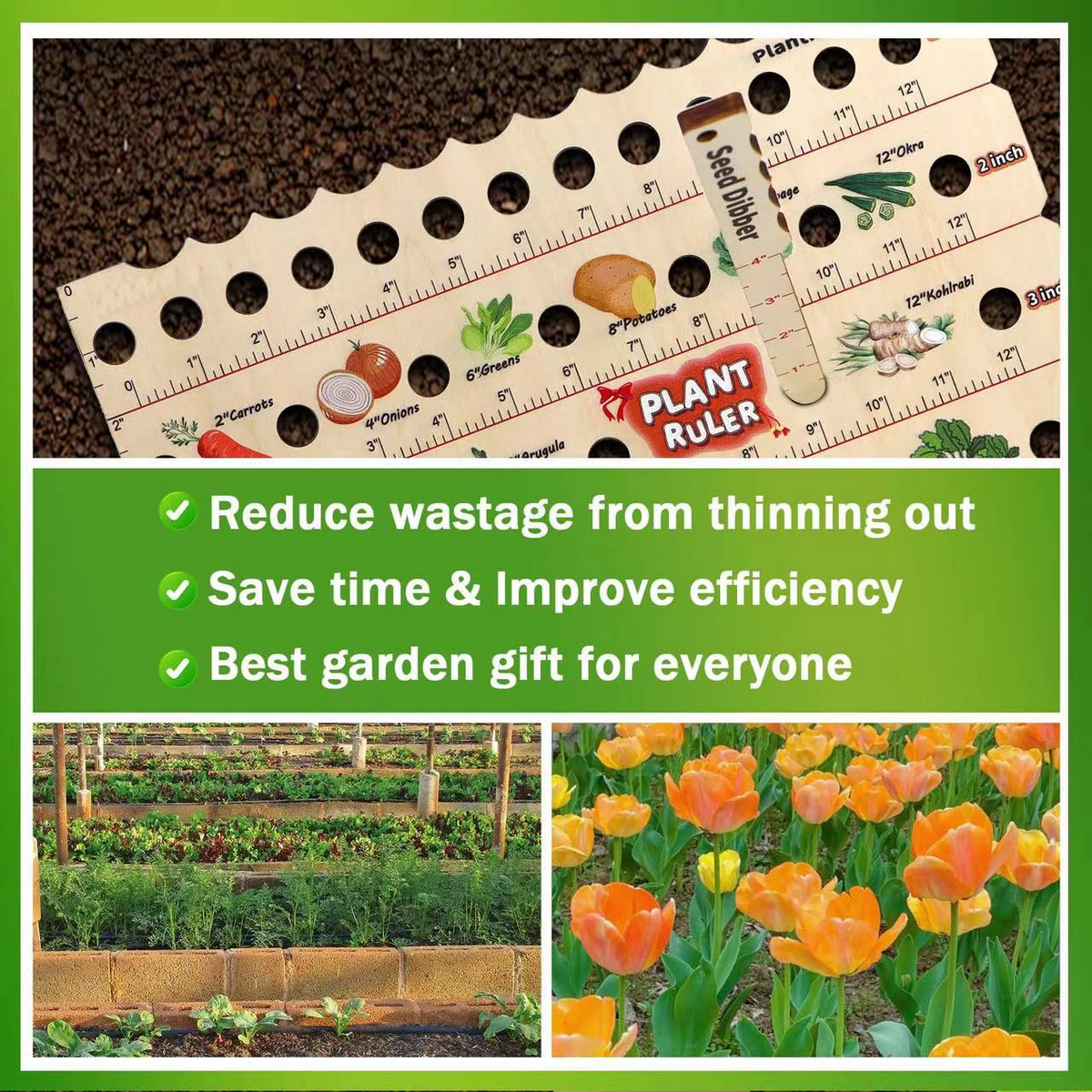 PlantRuler – Perfect Seed Spacing and Depth for Thriving Plants