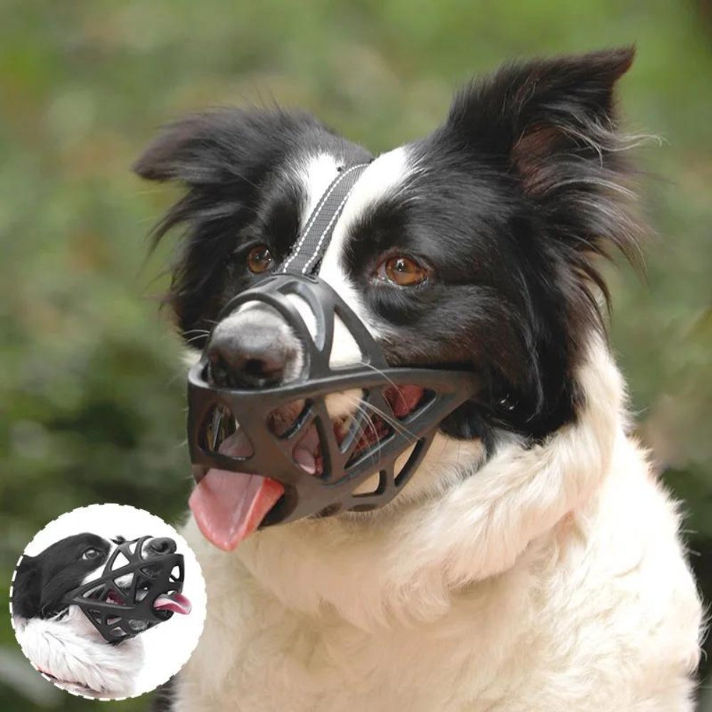 BarkGuard - Instantly Calms Dogs, Stops Safe Biting and Barking