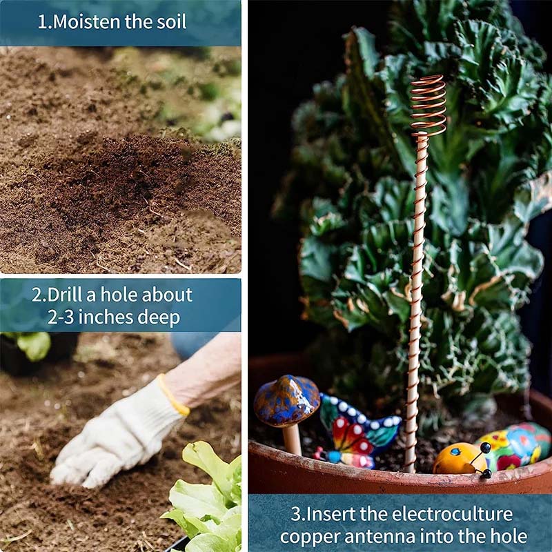 2+3 FREE | GrowPulse – Naturally Promote Plant Growth for Bigger, Healthier Harvests