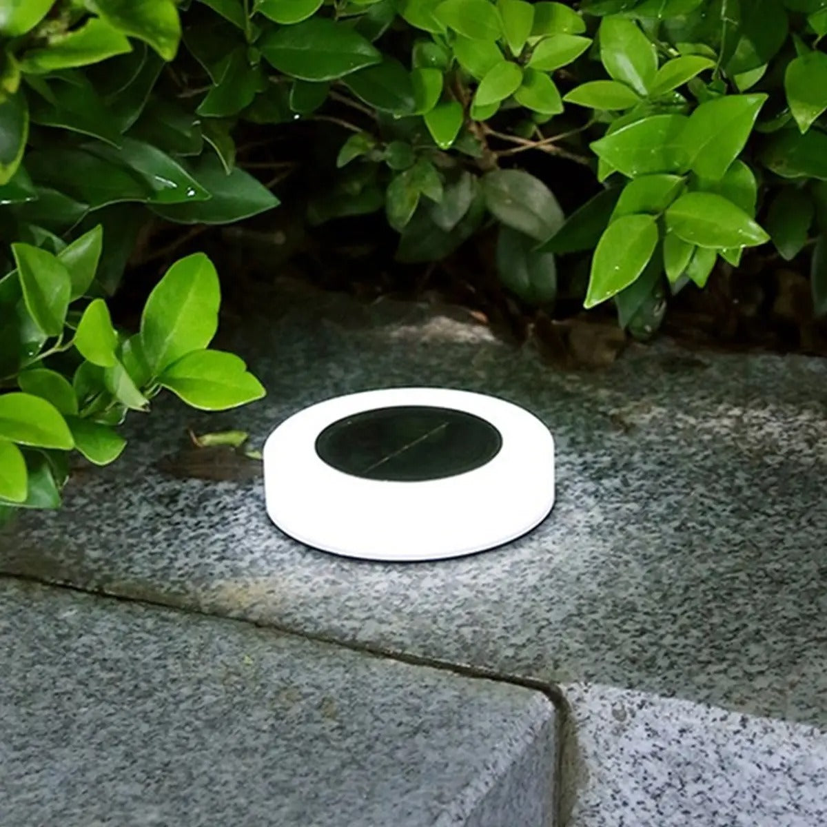 2+2 FREE | LumiGlow - Impressive Solar Garden Light Lasts All Night