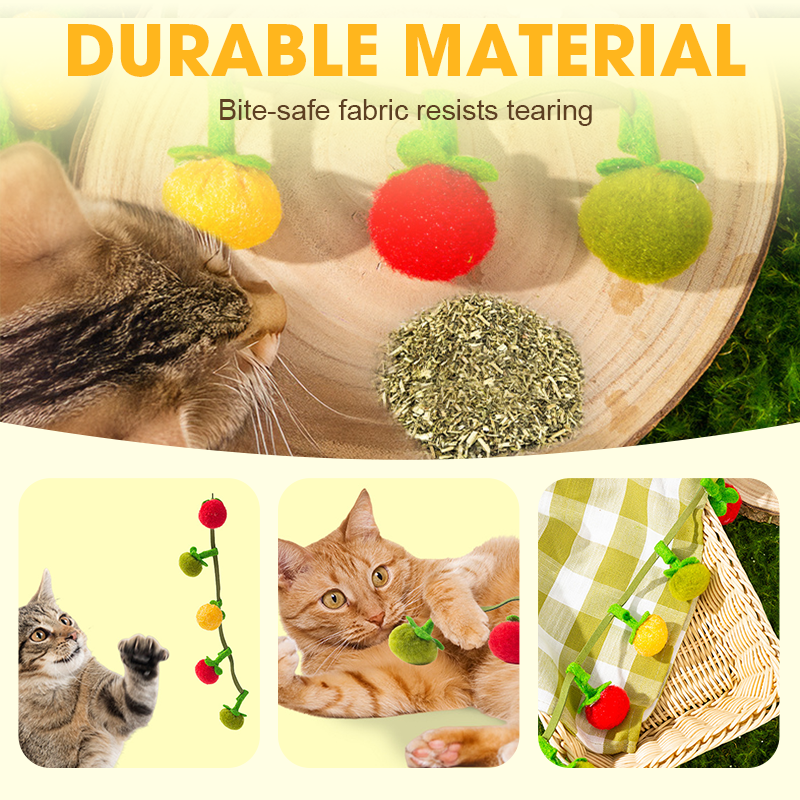 1+1 FREE | TomatoCat – Keeps Your Cat Active, Happy, and Playful Every Day