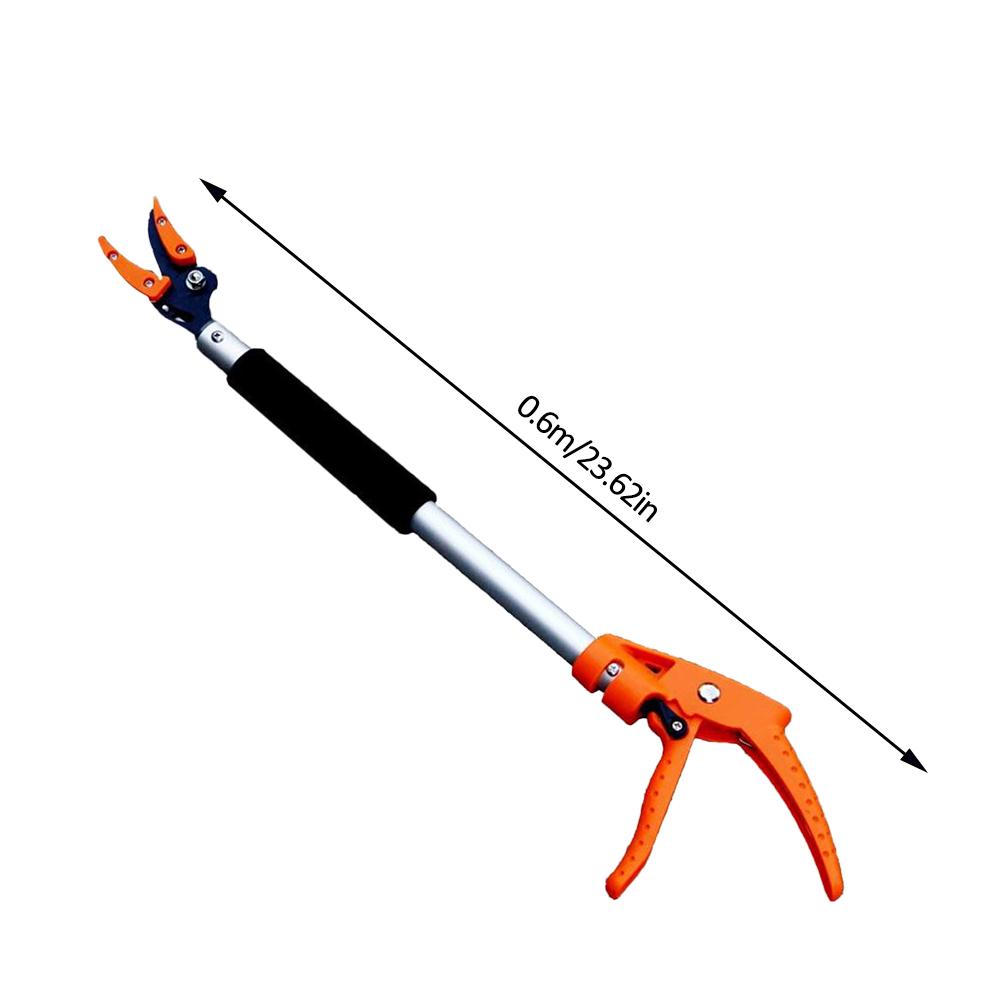BranchMaster – Easily Reach and Cut High Branches Safely
