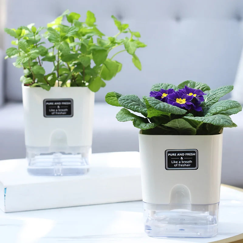 GreenEase – Let Plants Thrive Without Daily Watering Problems
