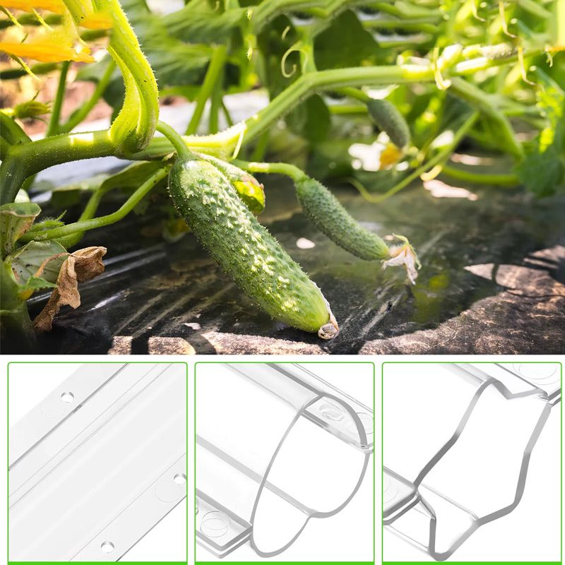 1+1 FREE | CucumberGlow – Grow Fun-Shaped Vegetables That Impress Everyone Instantly