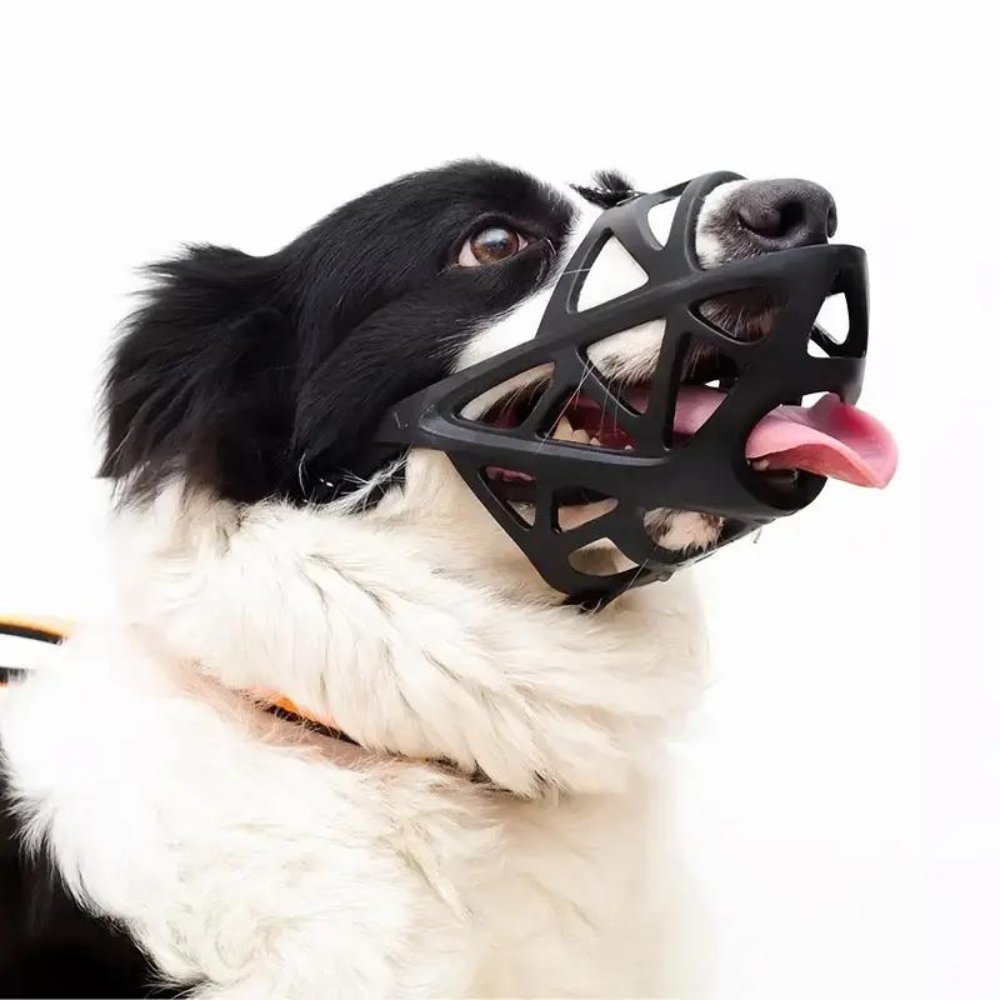 BarkGuard - Instantly Calms Dogs, Stops Safe Biting and Barking