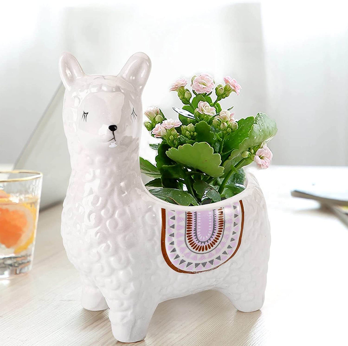 AlpaZen – Instantly Brighten Rooms with Enchanting Greenery