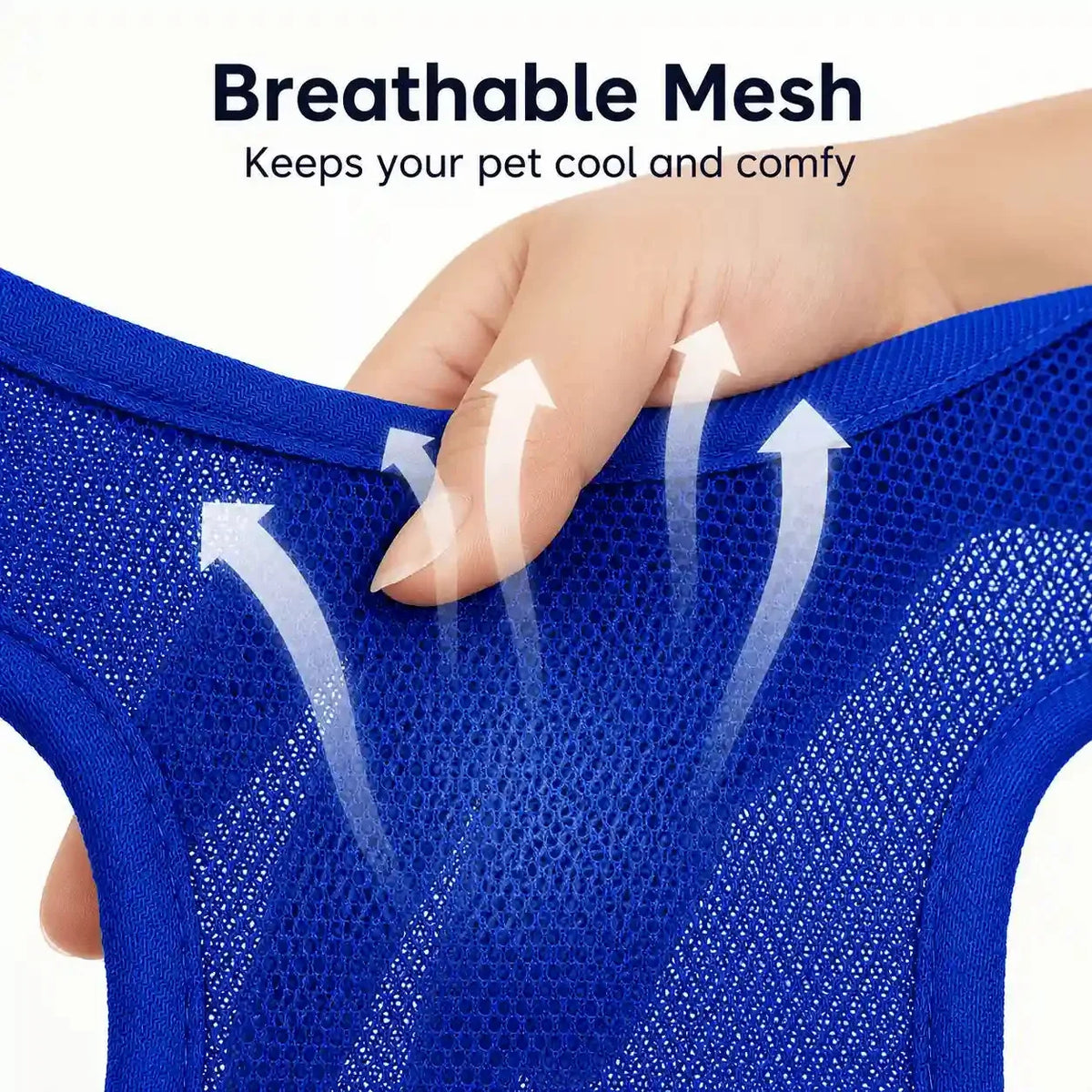 CalmPaws – Makes Grooming Stress-Free and Safe