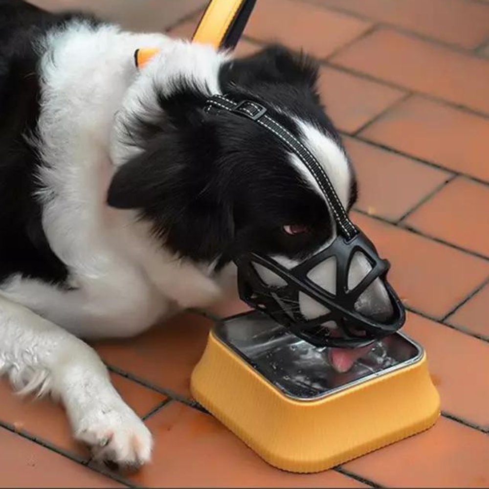 BarkGuard - Instantly Calms Dogs, Stops Safe Biting and Barking