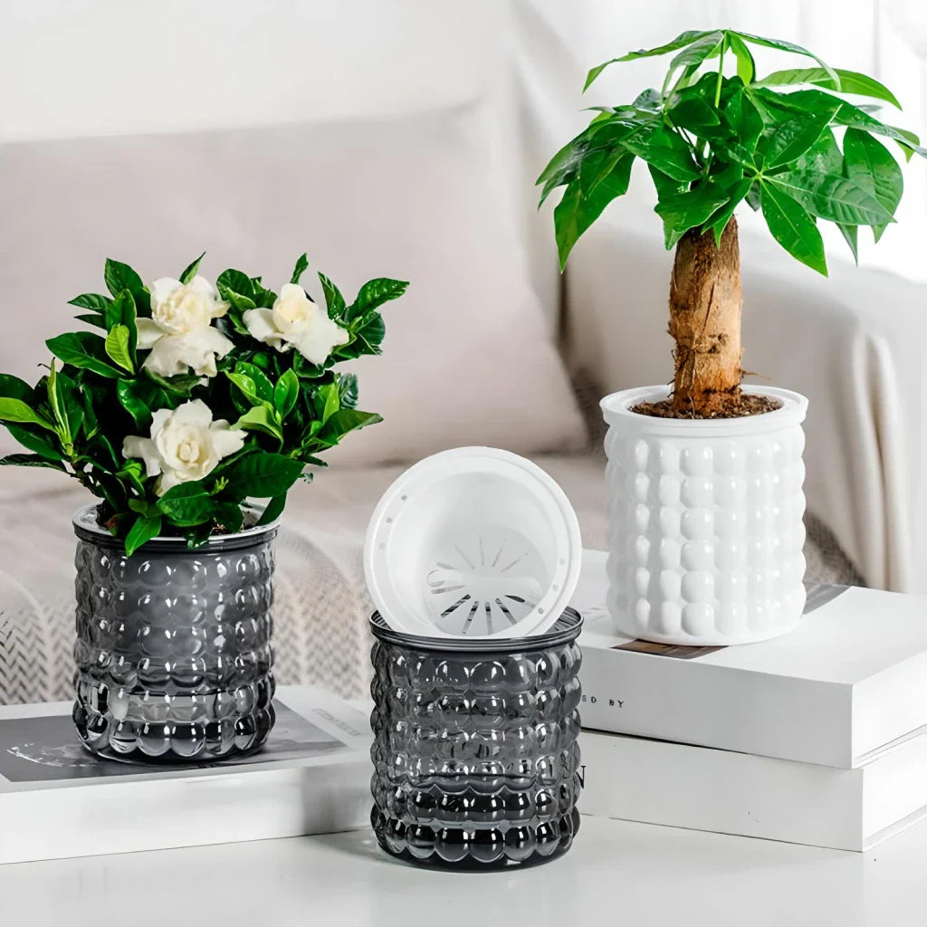 SucculentPlanter - Keep Your Succulents Juicy Without Watering Effort