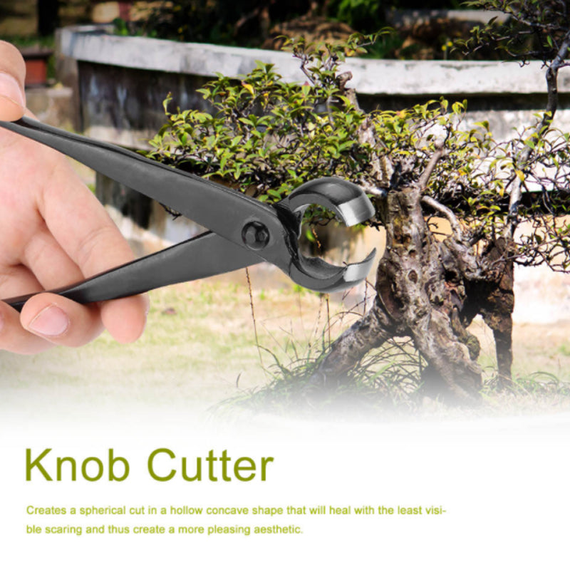 BonsaiEdge – Perfect Precision Cuts for Healthy, Beautiful Bonsai