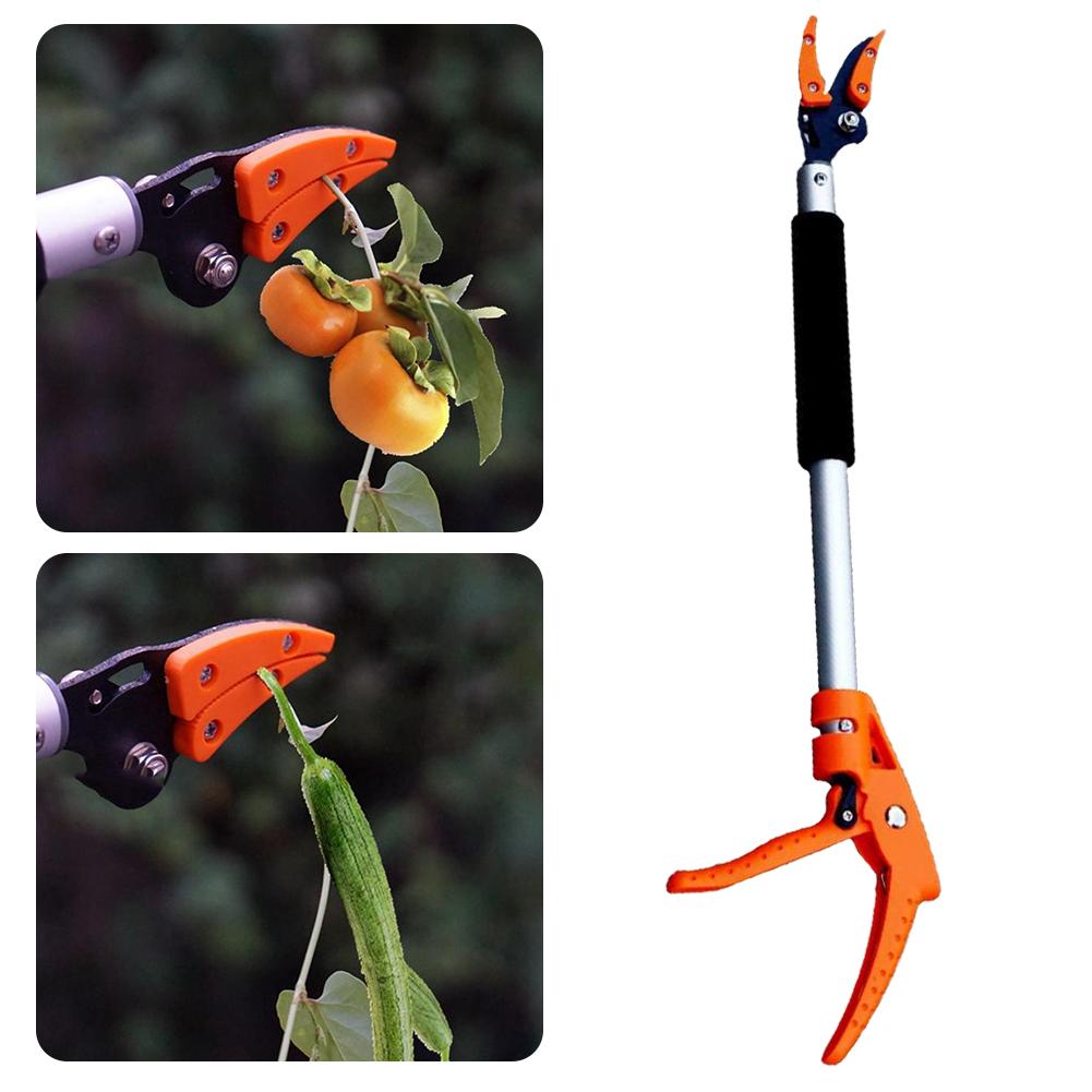 BranchMaster – Easily Reach and Cut High Branches Safely