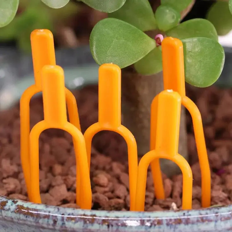 25+25 FREE | GrowStrong - Plants Stay Upright and Healthy All Season Long