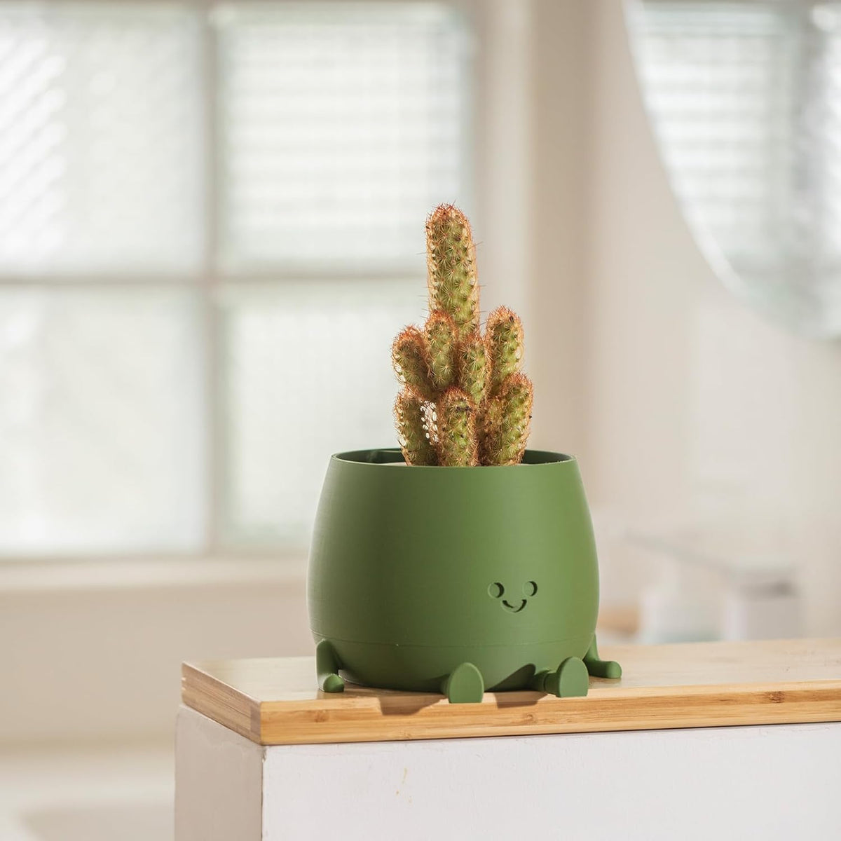 BloomBuddy – Smiling Plants, Happy Home