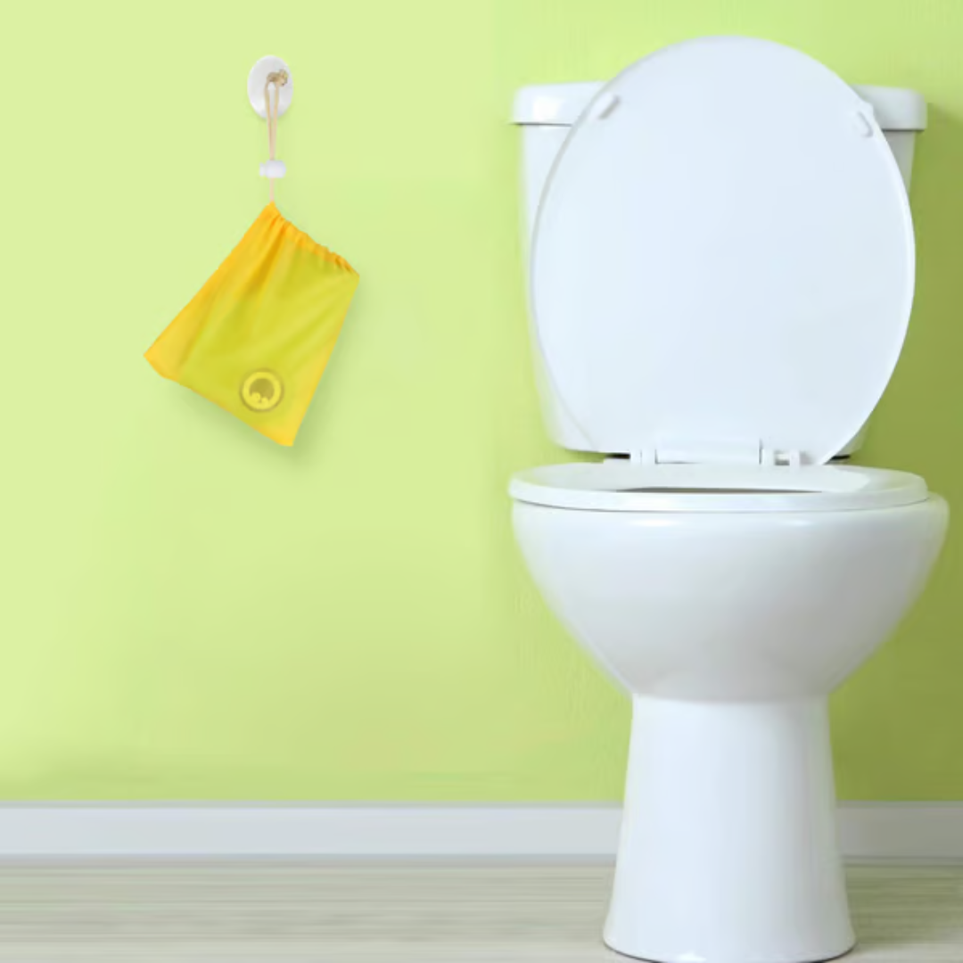 FroggyEase – Make Potty Training a Fun and Easy Success
