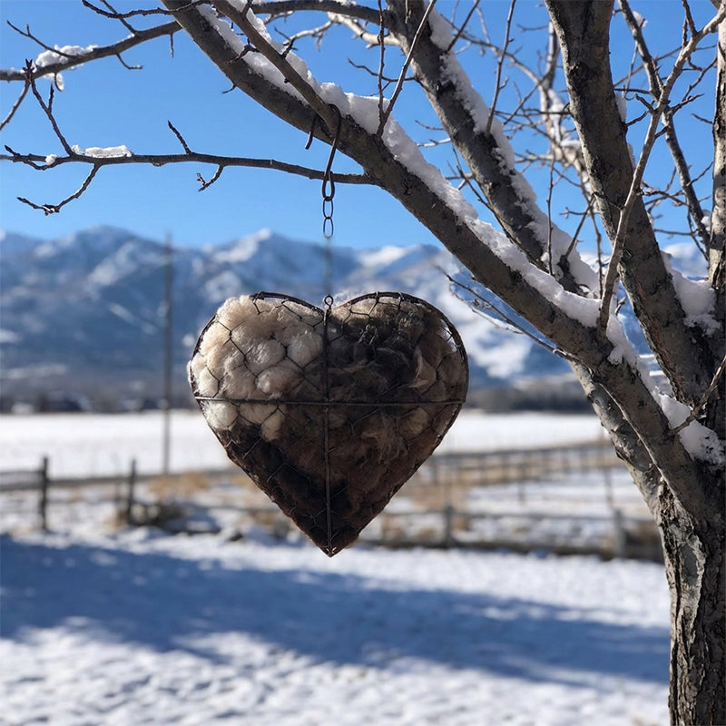 LoveNest - Attract More Birds Instantly and Warm Up Your Garden
