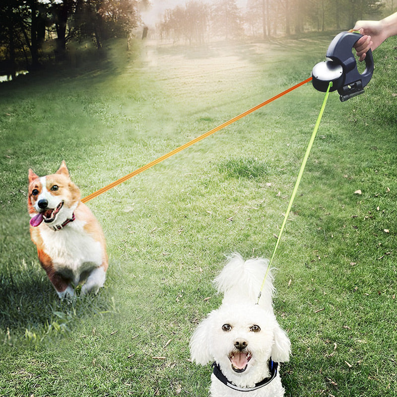 DoggieTame - Ultimate Tangle-Free Control and Safe Night Walks