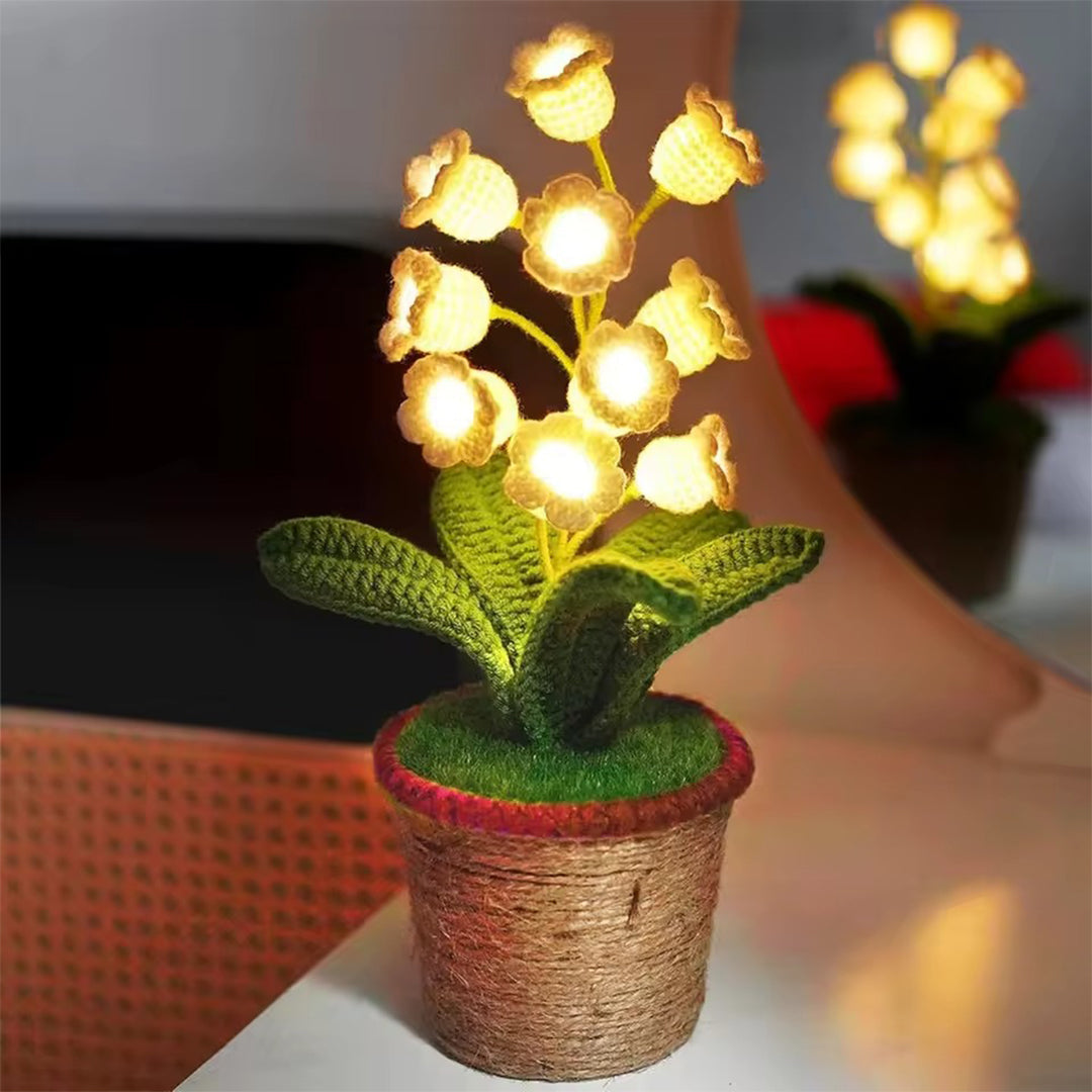LilyBloom - Eternal Glow and Cozy Comfort All Night Long
