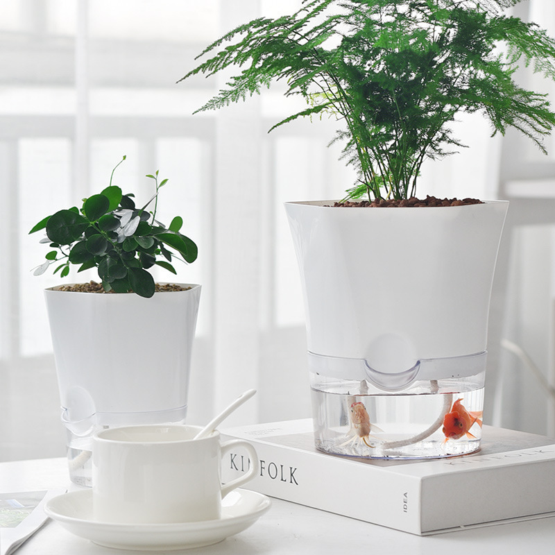 HydroEco – Perfect Plant Watering Without Guesswork