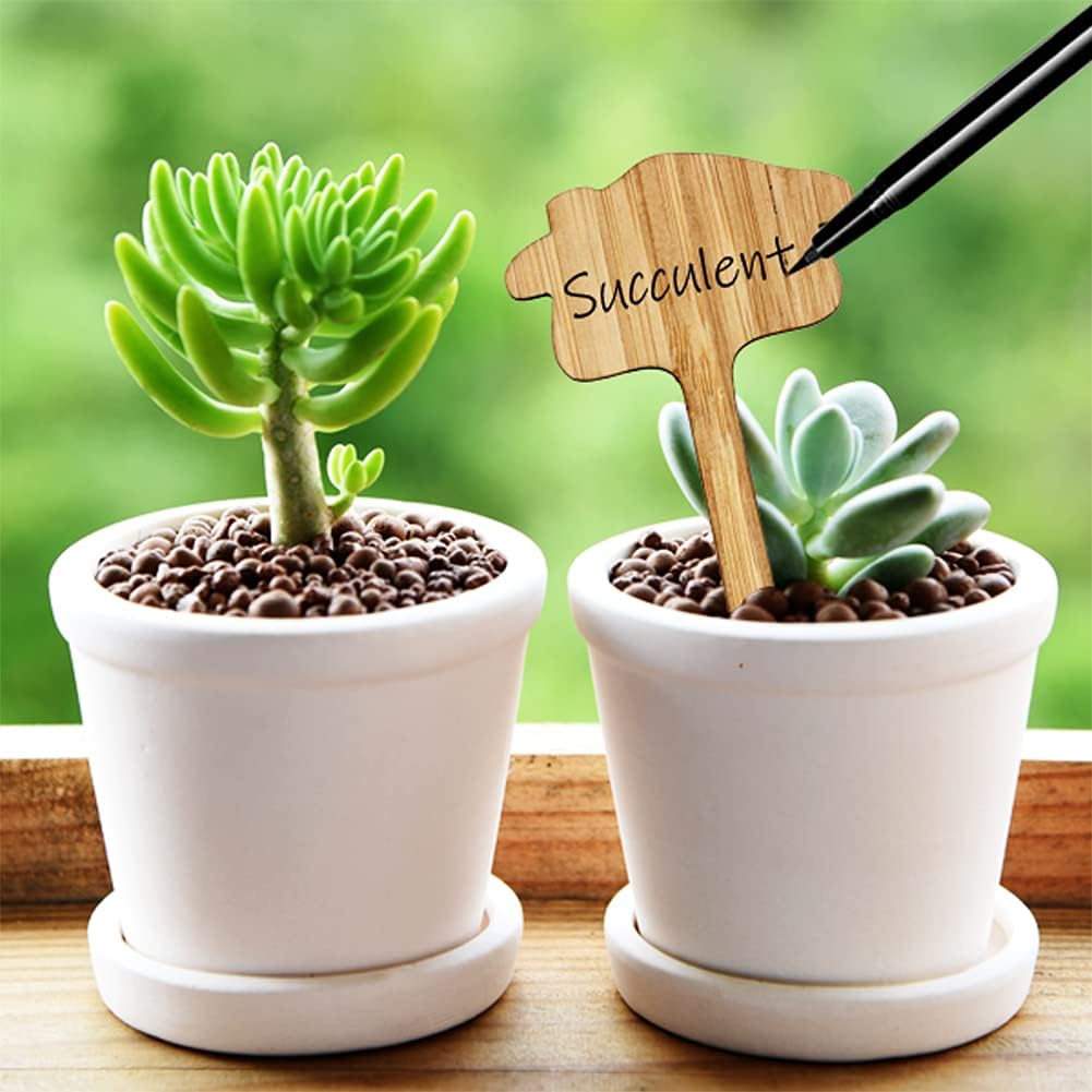 GreenMark – Never Forget Plant Care with Reusable Wooden Signs