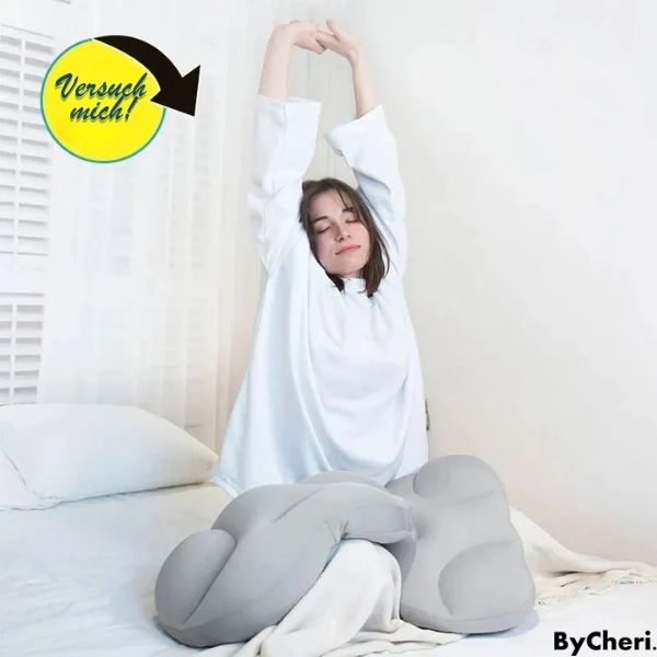 SleepEase – Wake up pain-free with perfect neck and back support