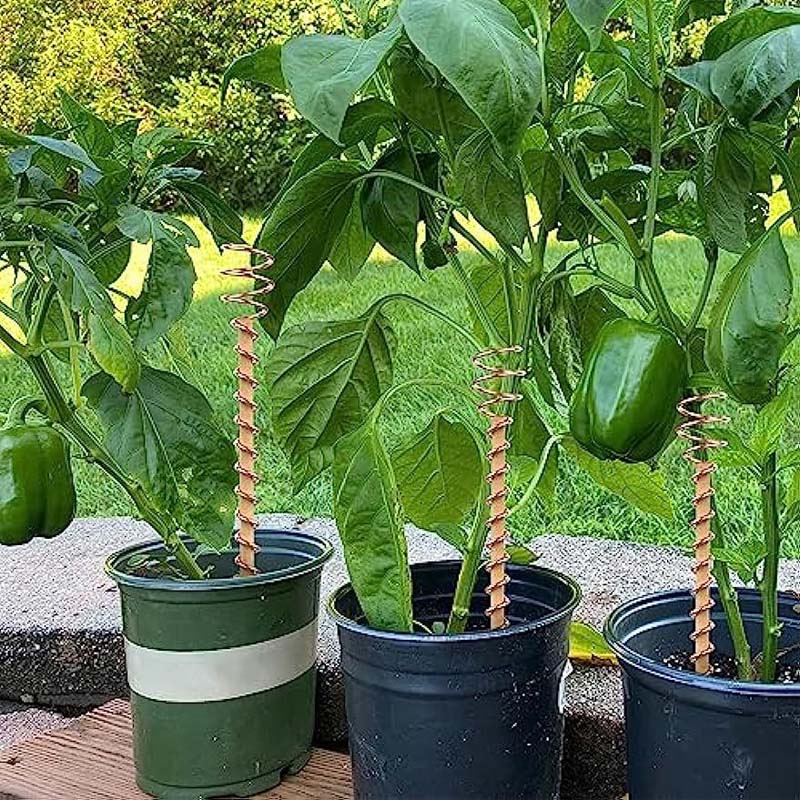 2+3 FREE | GrowPulse – Naturally Promote Plant Growth for Bigger, Healthier Harvests