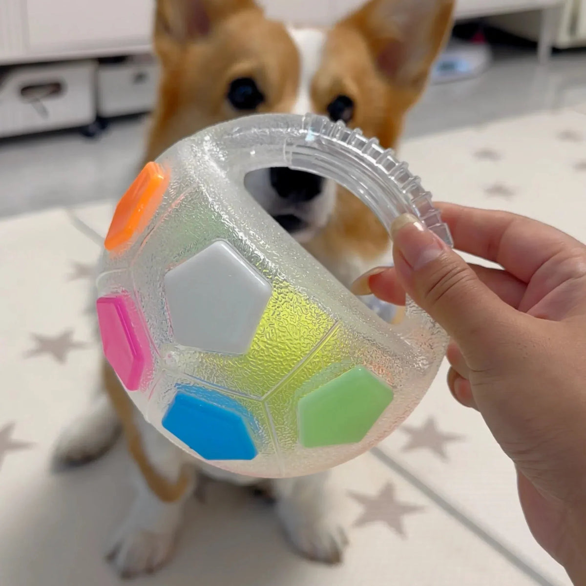 PupPitch - Keeps Dogs Happy and Active