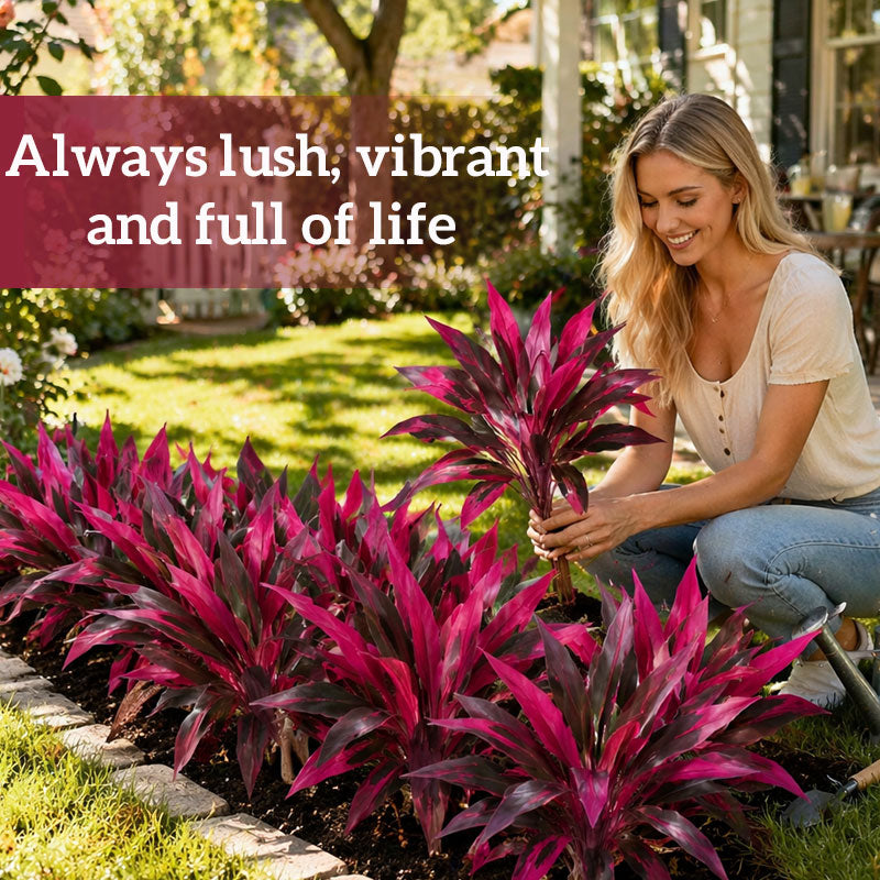 GreenViva – Lifelike plants that stay fresh without maintenance