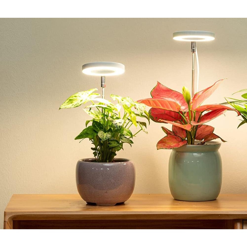 GrowLux - Promote the growth of houseplants with perfect full-spectrum light