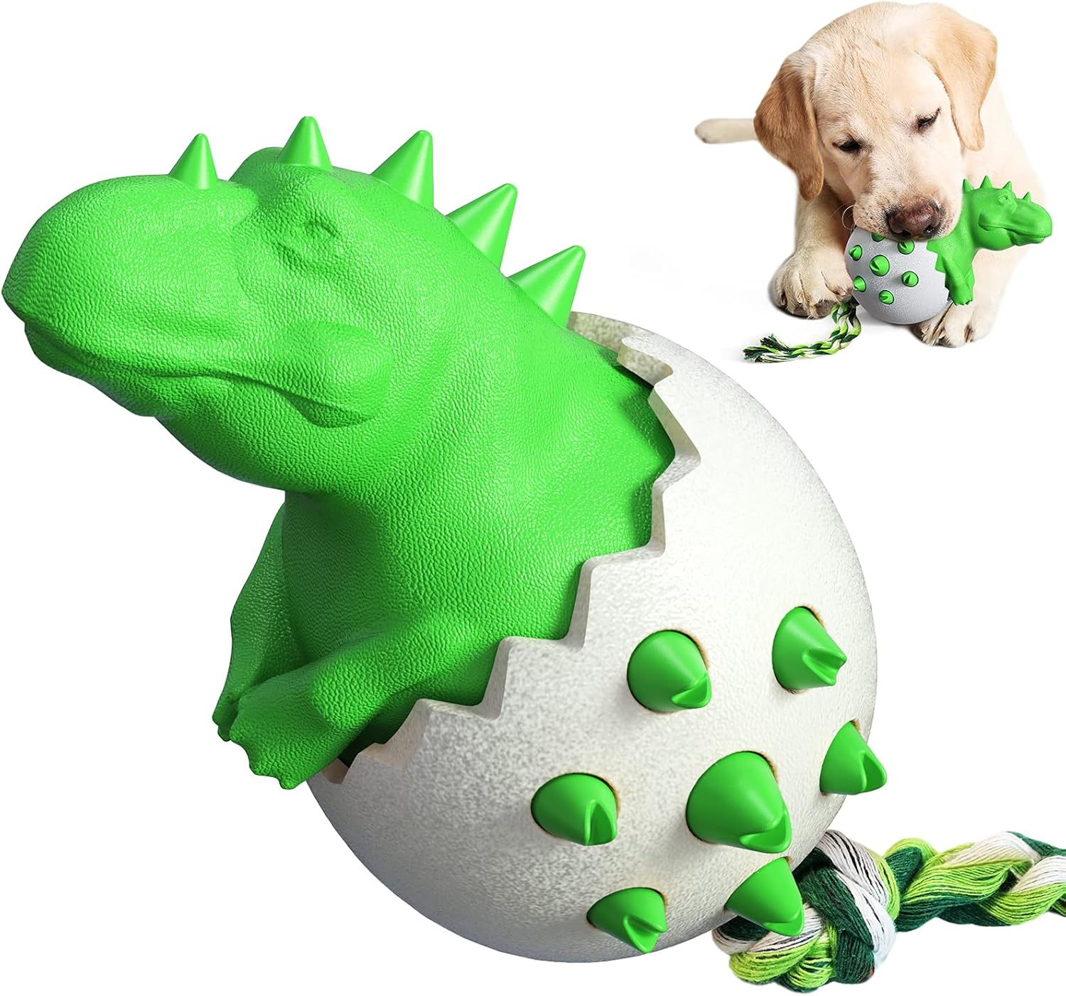 DinoEgg – The Indestructible Chew Egg for Healthy Dog Teeth!