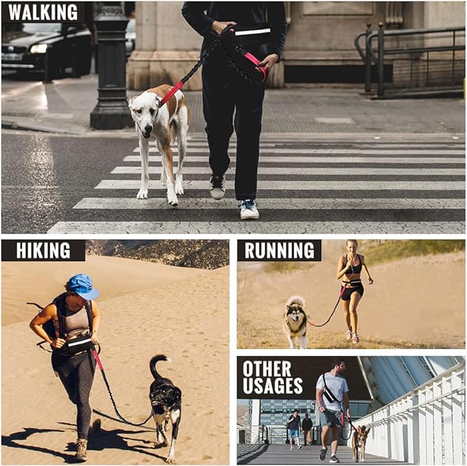 PawsFree Pro – Stress-Free Walks with Your Dog