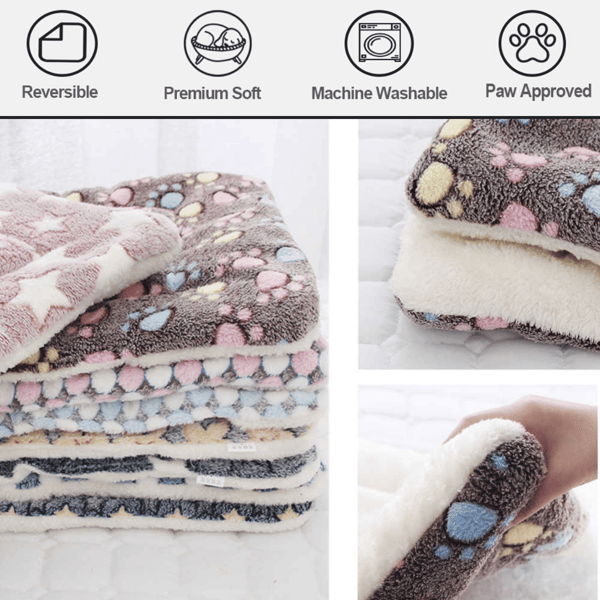 CozyPaw – Deep Relaxation for Your Cat!