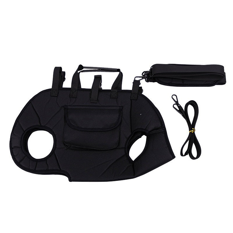 PetGo – Comfort & Safety for You and Your Pet