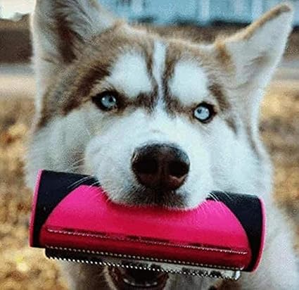 PetCare – For shiny fur & happy pets!