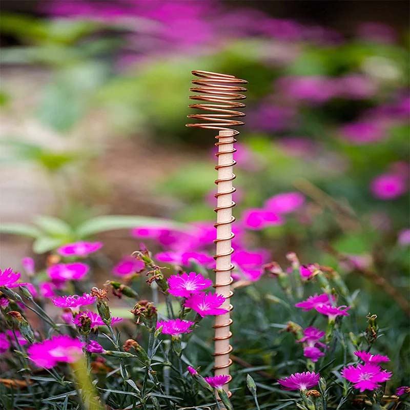 2+3 FREE | CopperStrong – Keep plants upright and healthy without breaking