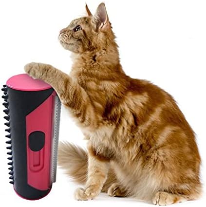 PetCare – For shiny fur & happy pets!