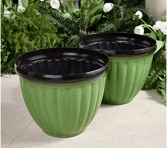 VerturaBloom – Intelligent Plant Pots for Healthy Growth & Style