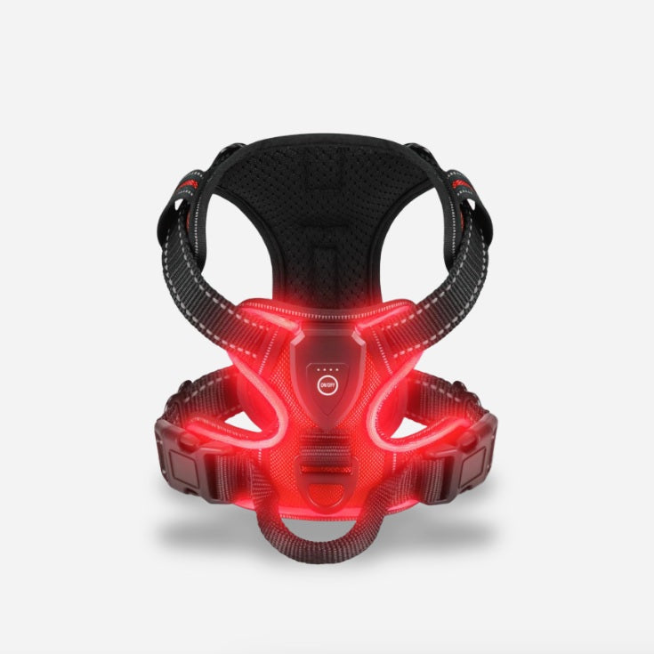 PawGuard – Walk Safely & Stylishly